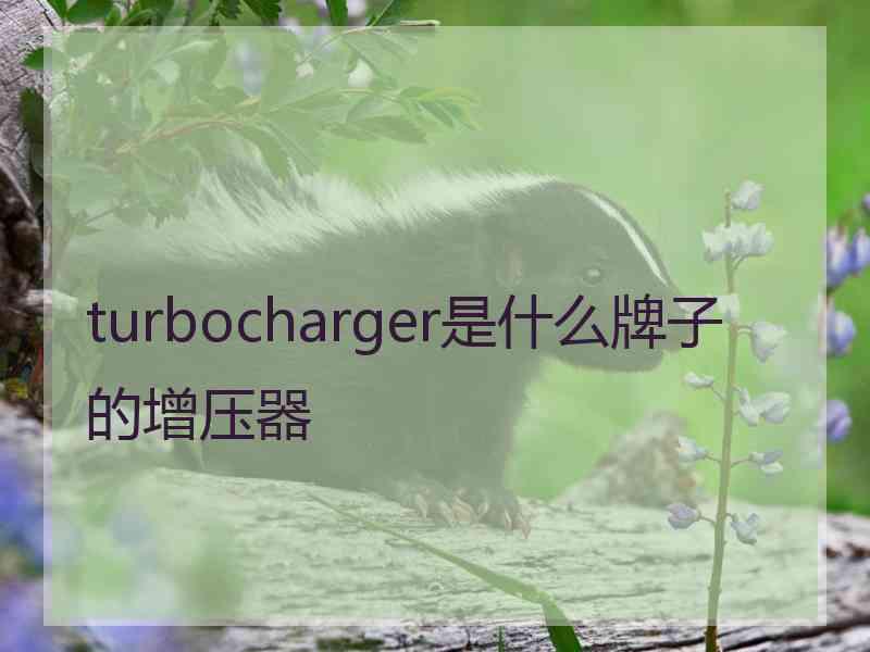 turbocharger是什么牌子的增压器