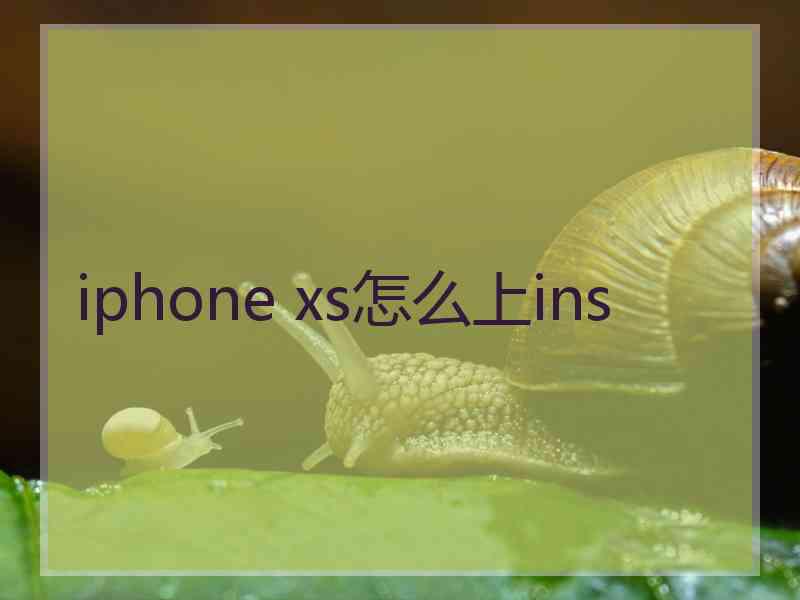 iphone xs怎么上ins