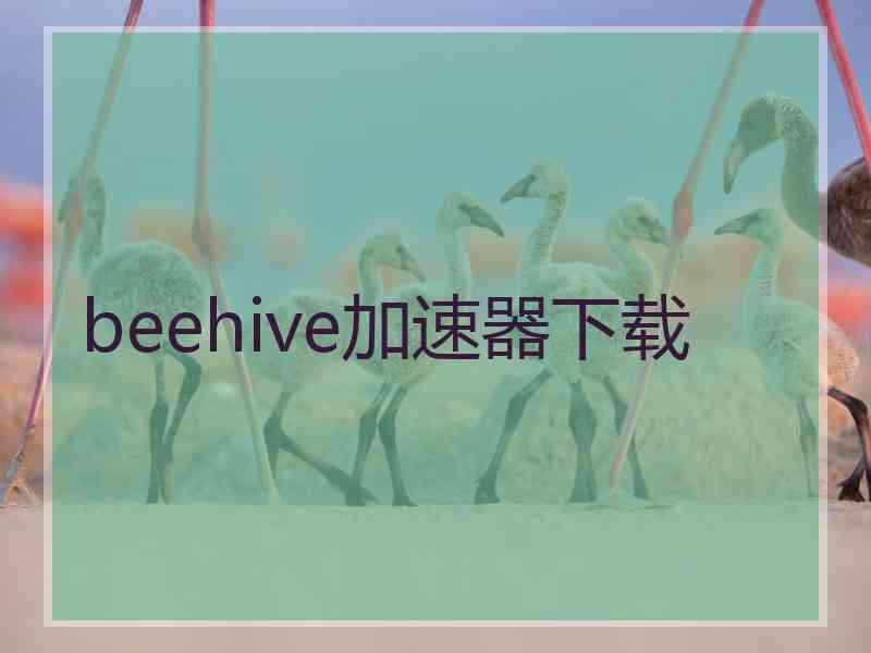 beehive加速器下载