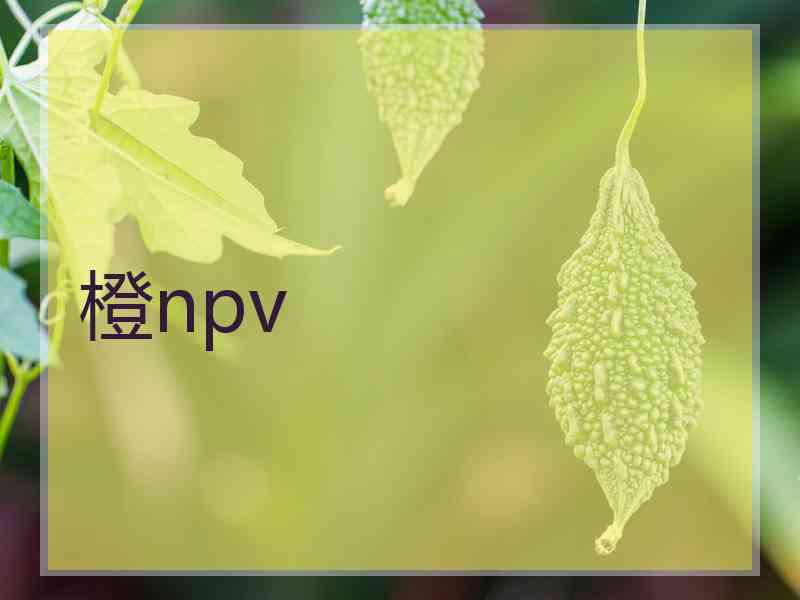 橙npv