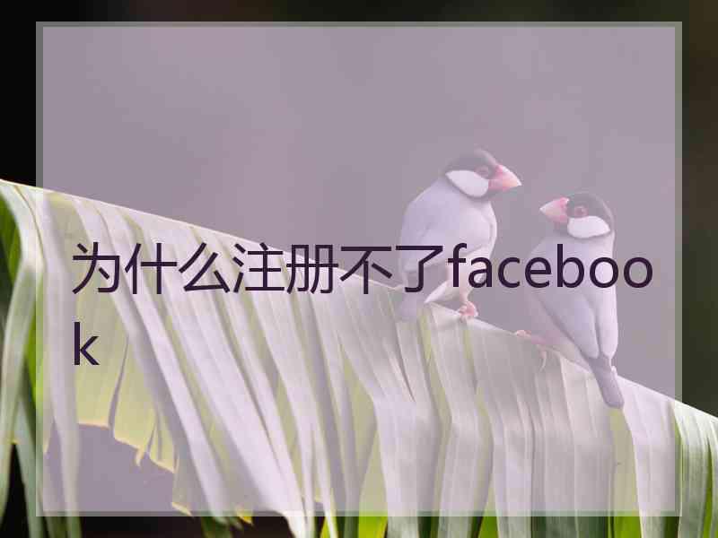 为什么注册不了facebook