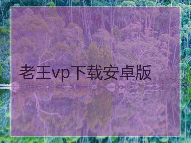 老王vp下载安卓版