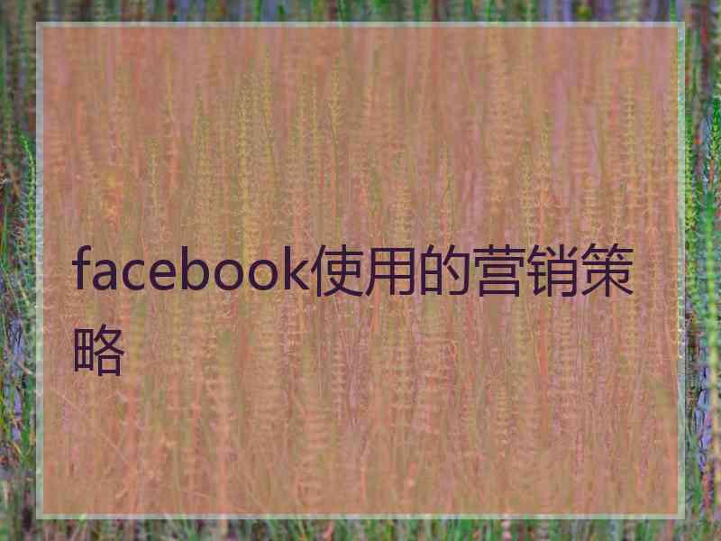 facebook使用的营销策略