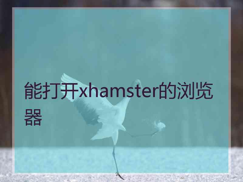 能打开xhamster的浏览器