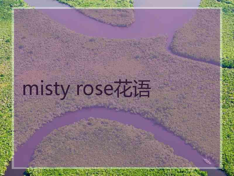 misty rose花语