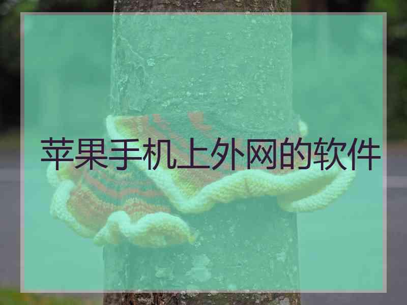 苹果手机上外网的软件