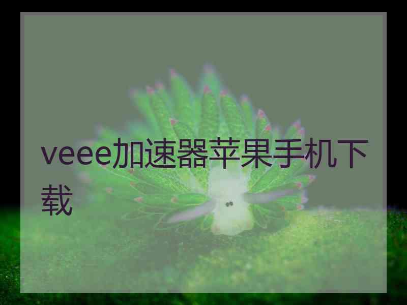 veee加速器苹果手机下载