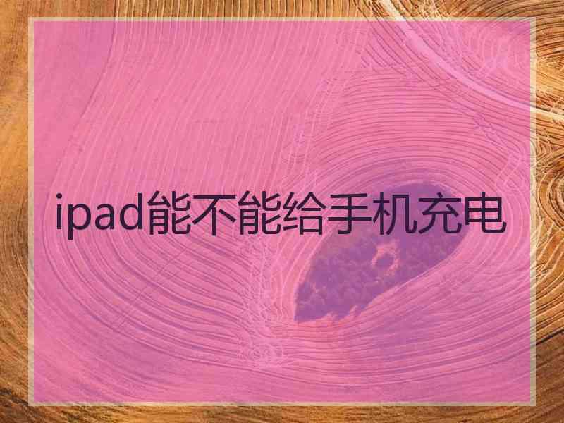 ipad能不能给手机充电