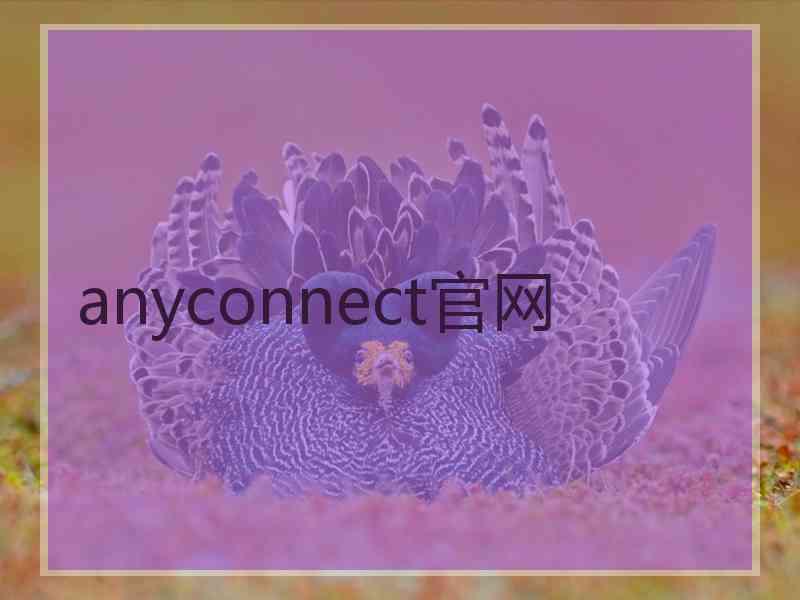 anyconnect官网