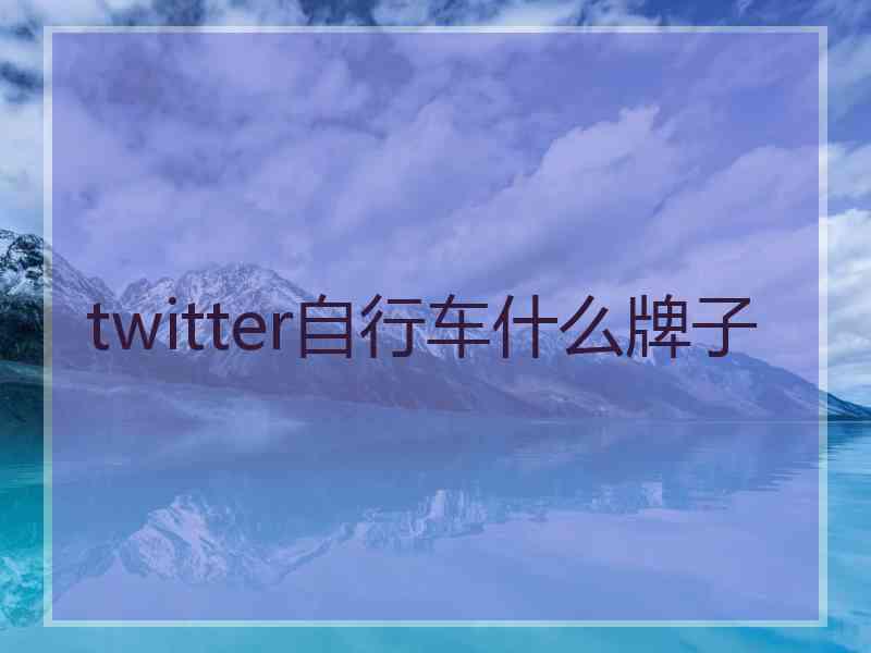 twitter自行车什么牌子