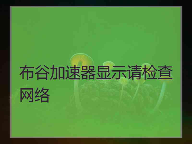 布谷加速器显示请检查网络