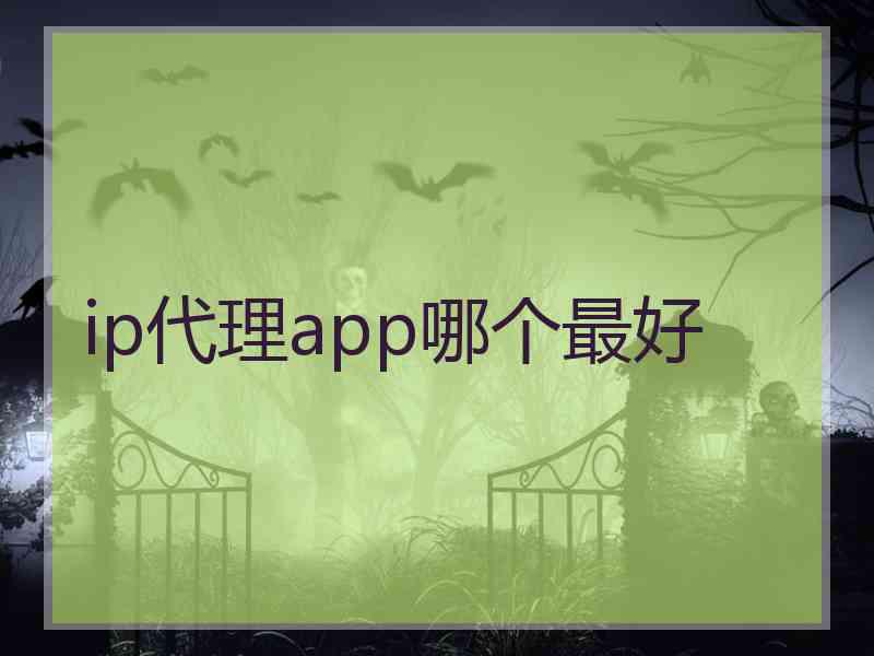 ip代理app哪个最好