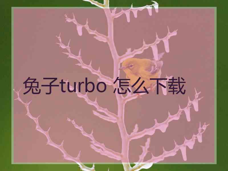 兔子turbo 怎么下载