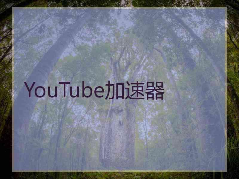 YouTube加速器