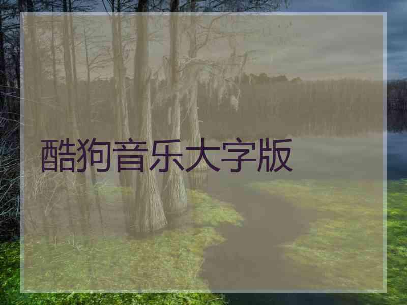 酷狗音乐大字版