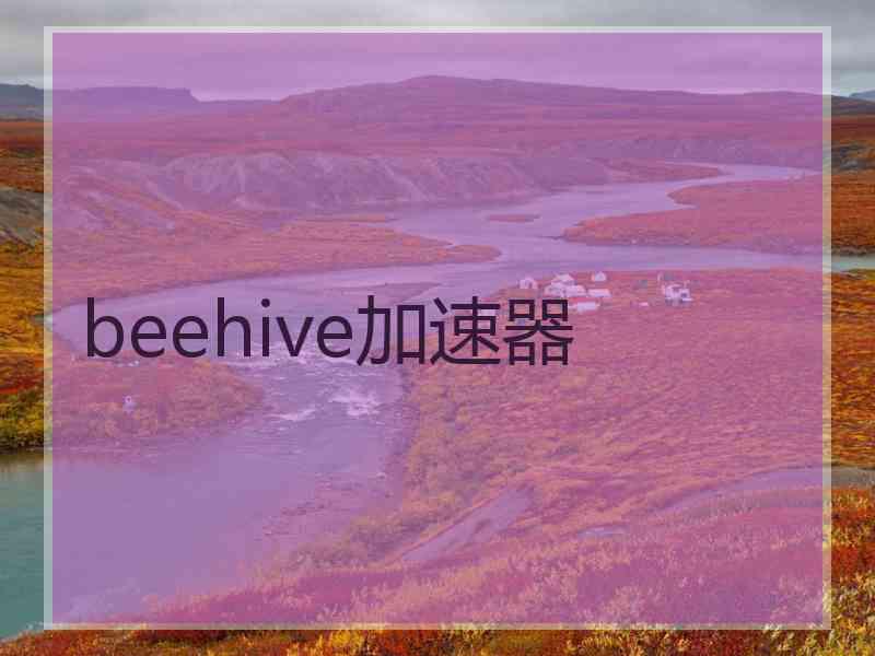 beehive加速器