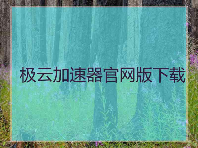 极云加速器官网版下载