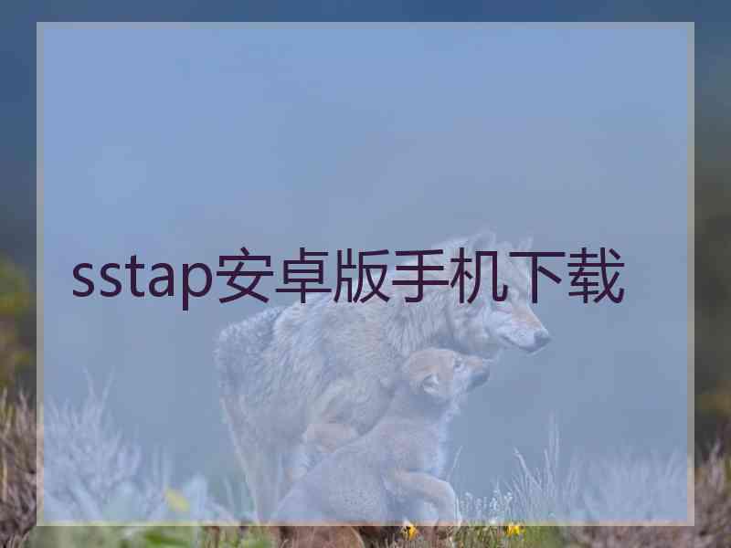 sstap安卓版手机下载