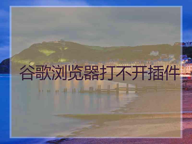 谷歌浏览器打不开插件