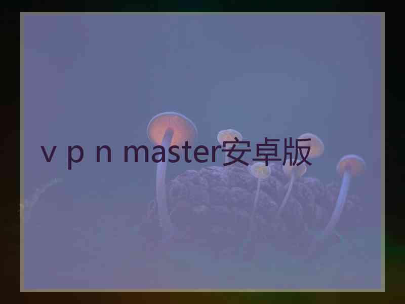 v p n master安卓版