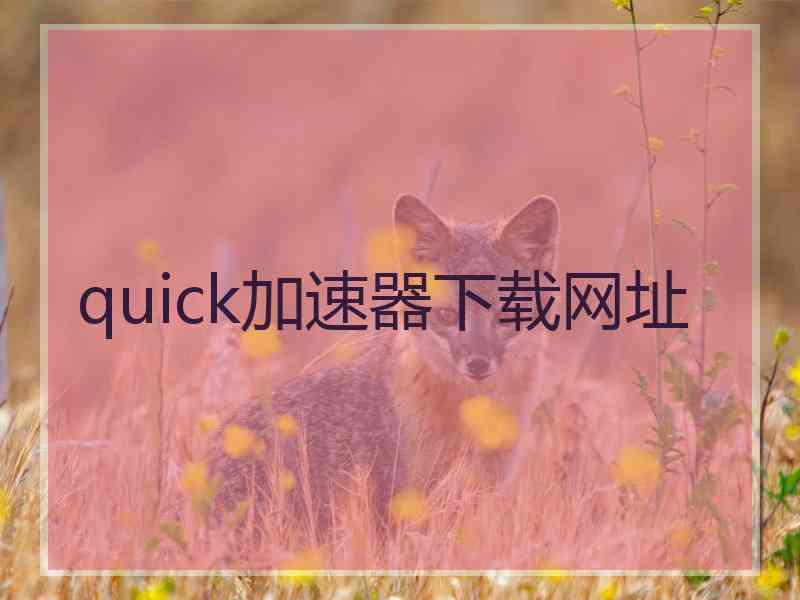 quick加速器下载网址