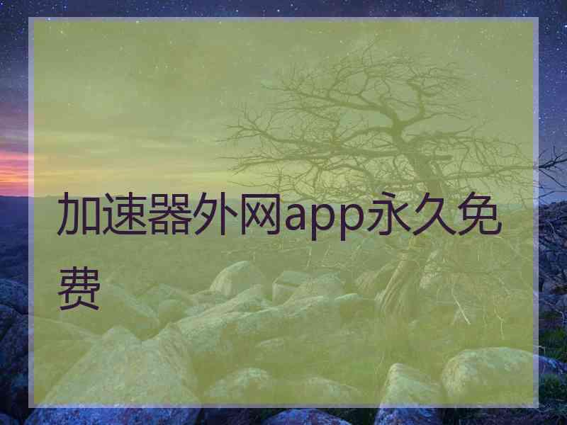 加速器外网app永久免费