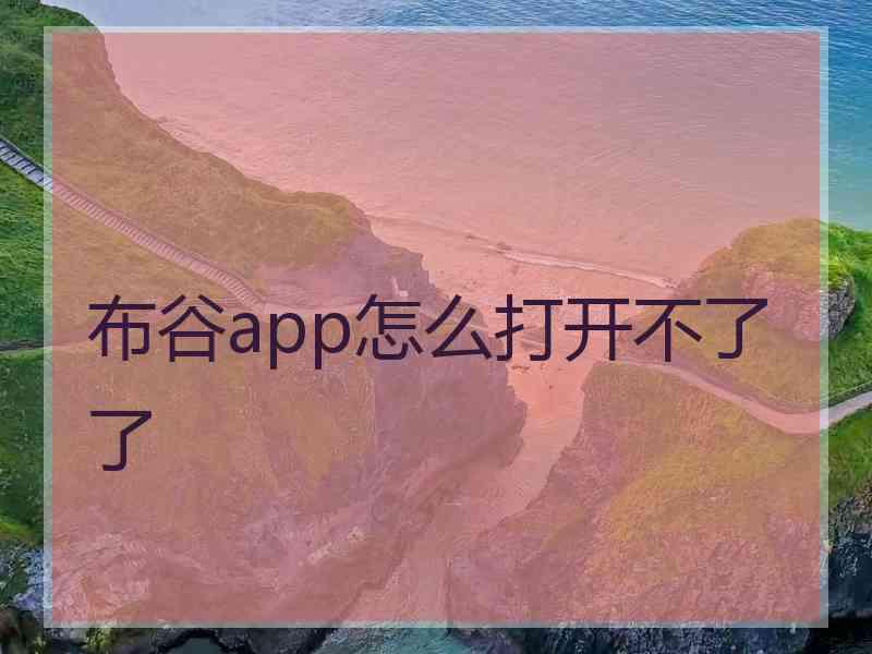 布谷app怎么打开不了了