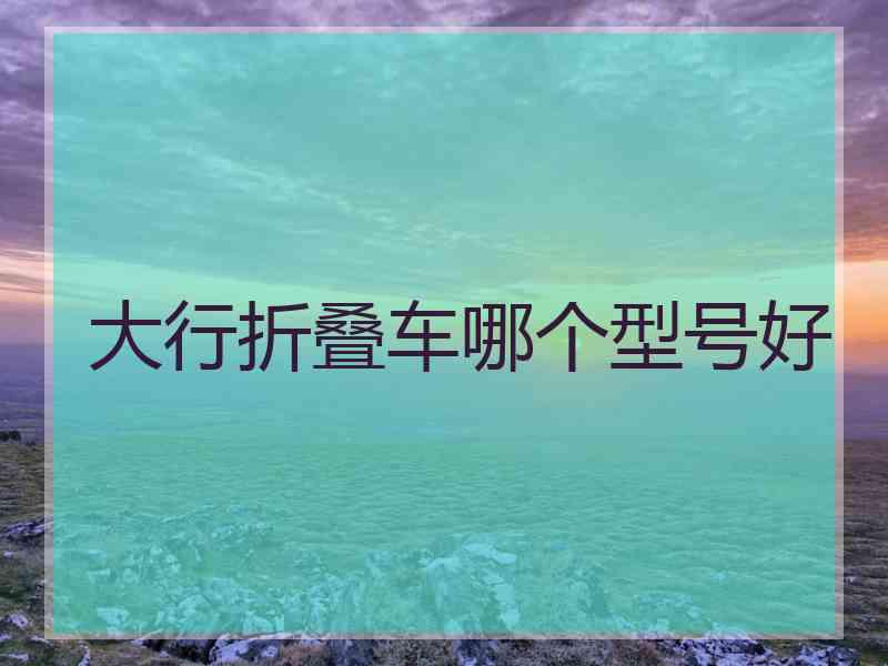 大行折叠车哪个型号好