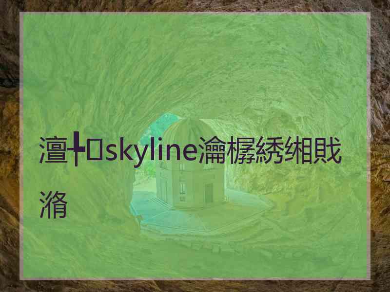 澶╄skyline瀹樼綉缃戝潃