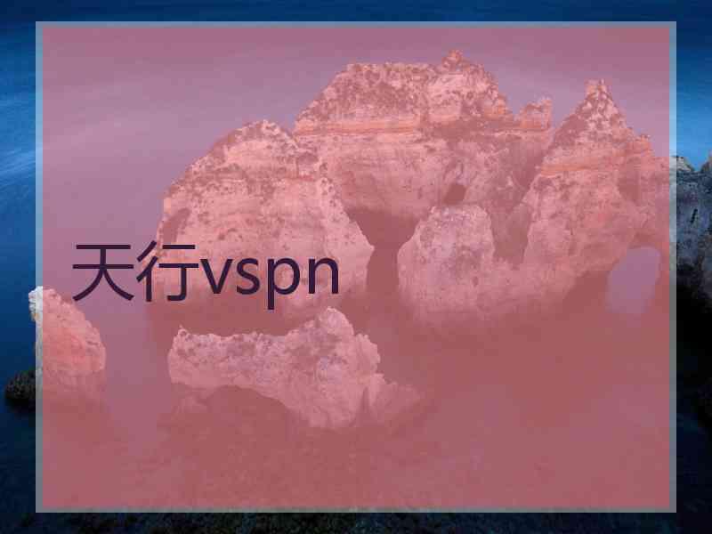 天行vspn