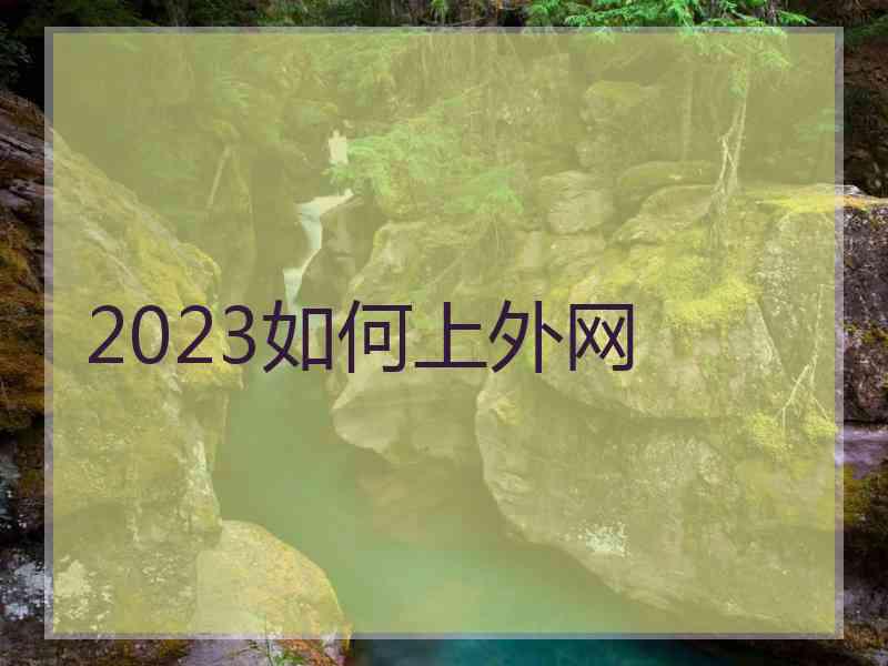 2023如何上外网