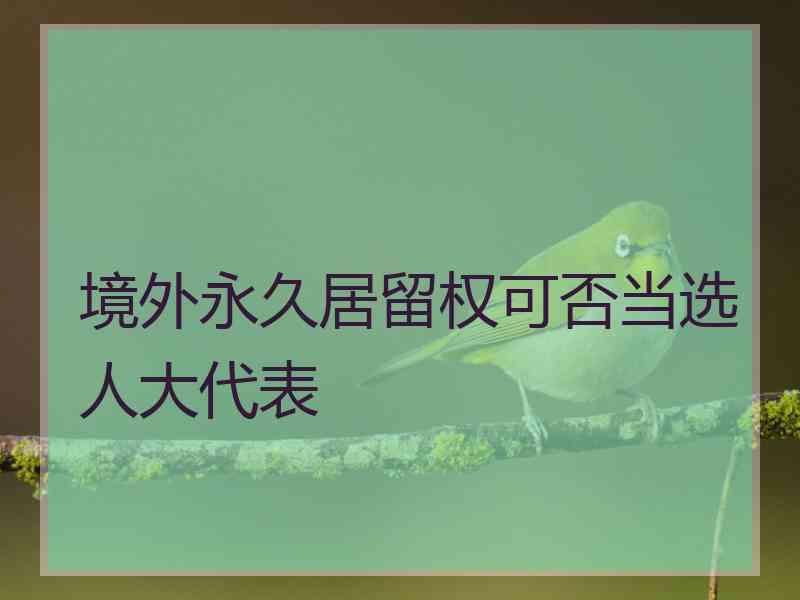 境外永久居留权可否当选人大代表