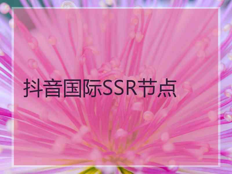 抖音国际SSR节点