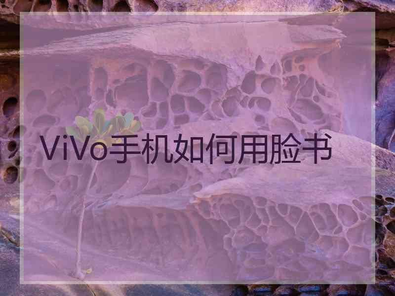 ViVo手机如何用脸书