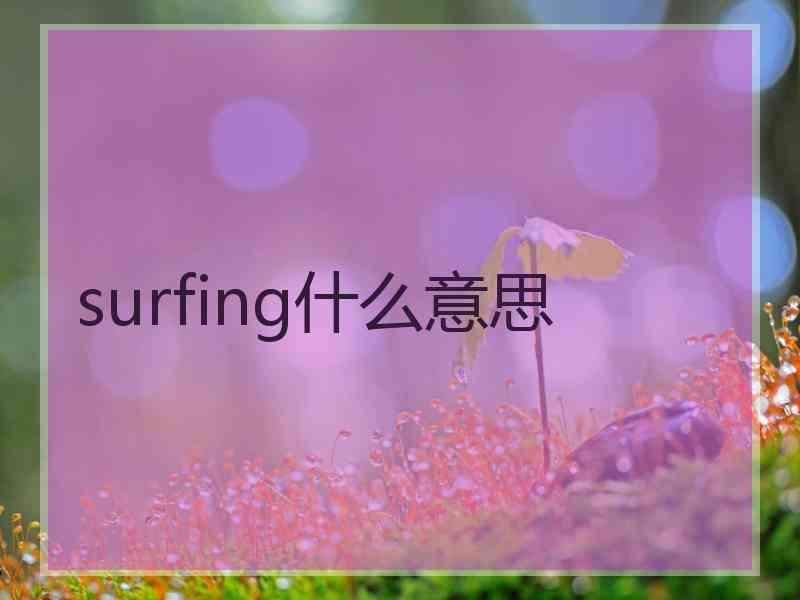 surfing什么意思