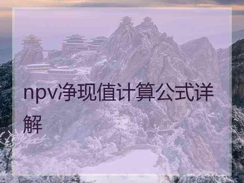 npv净现值计算公式详解