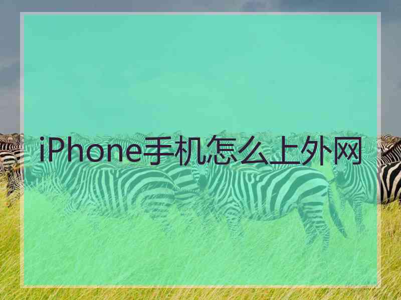 iPhone手机怎么上外网