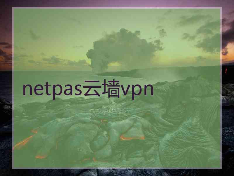 netpas云墙vpn