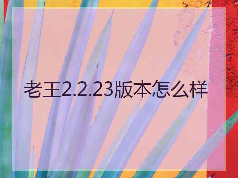 老王2.2.23版本怎么样