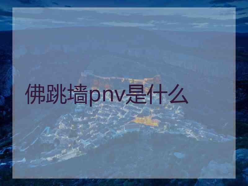 佛跳墙pnv是什么