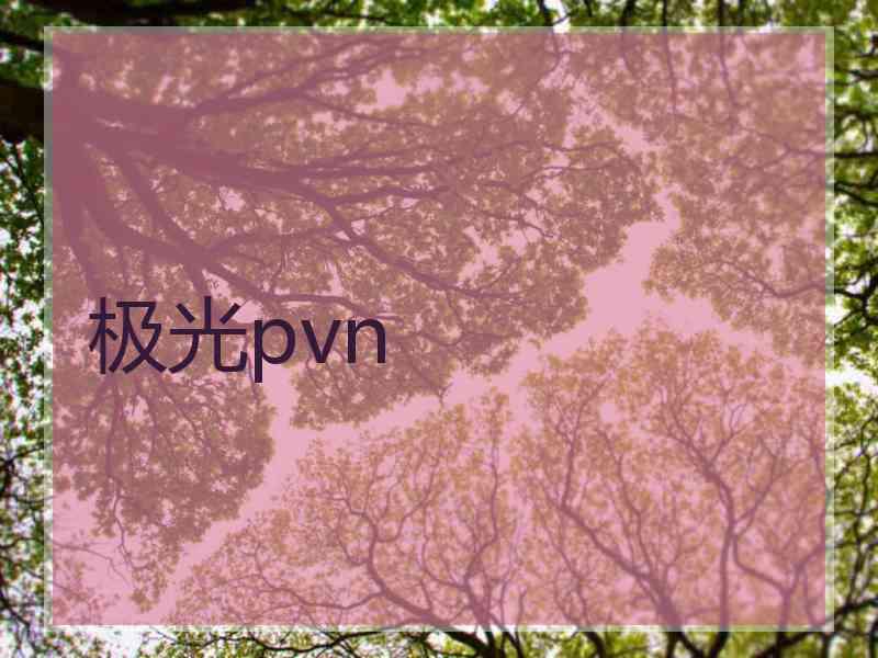 极光pvn