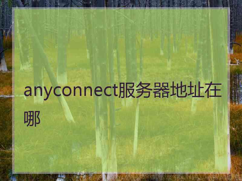 anyconnect服务器地址在哪