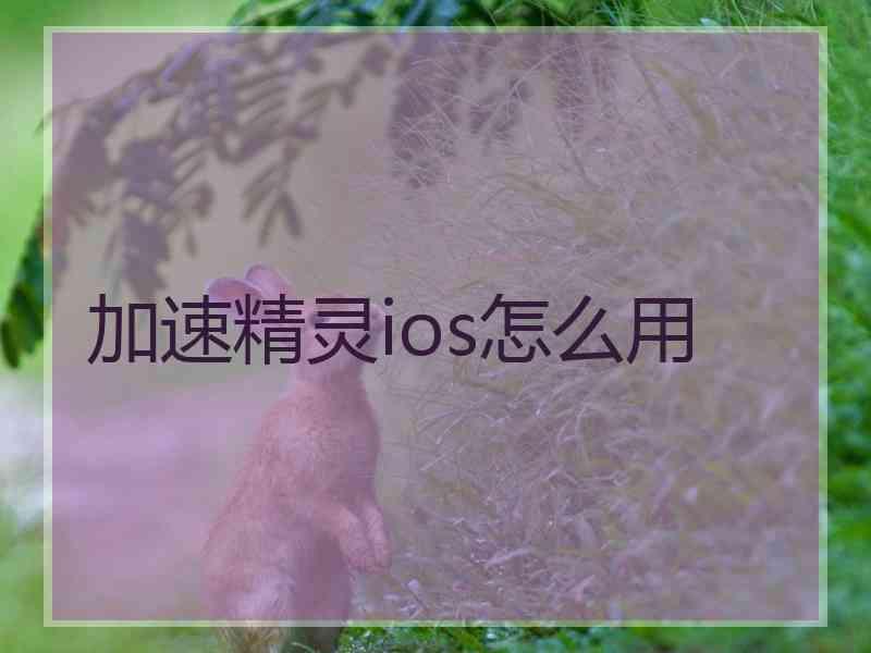 加速精灵ios怎么用