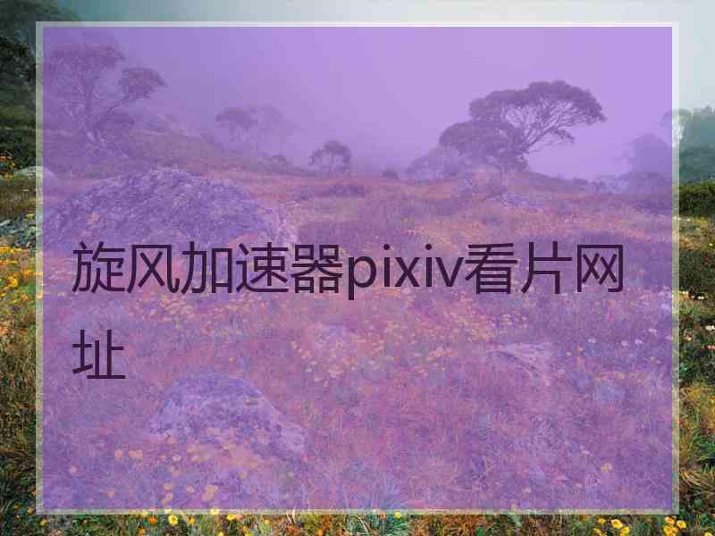 旋风加速器pixiv看片网址