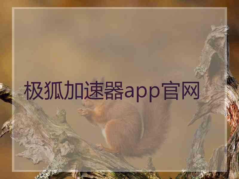 极狐加速器app官网