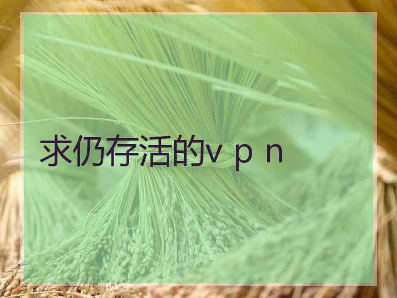 求仍存活的v p n