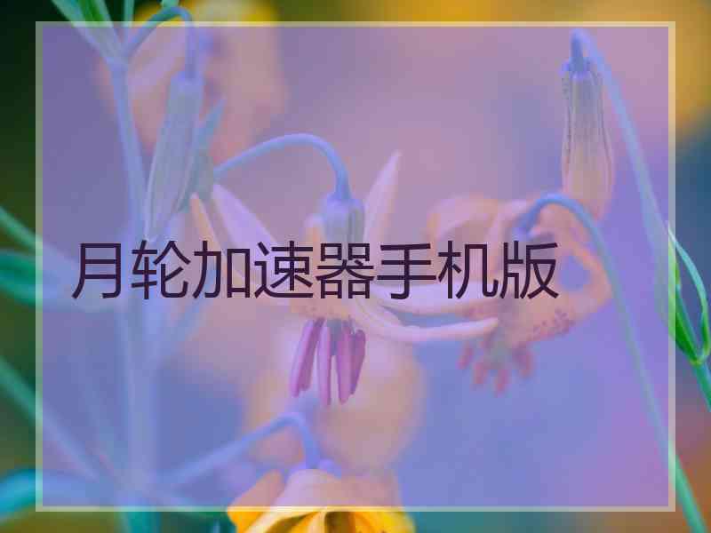 月轮加速器手机版