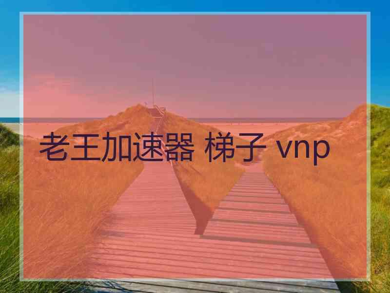 老王加速器 梯子 vnp