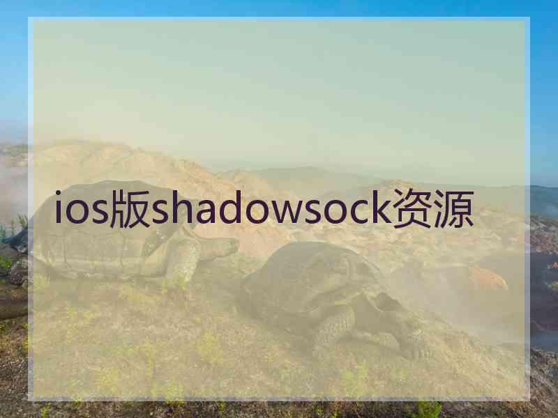 ios版shadowsock资源