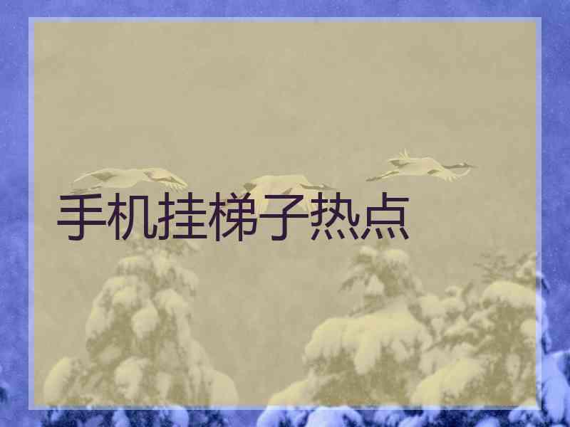 手机挂梯子热点